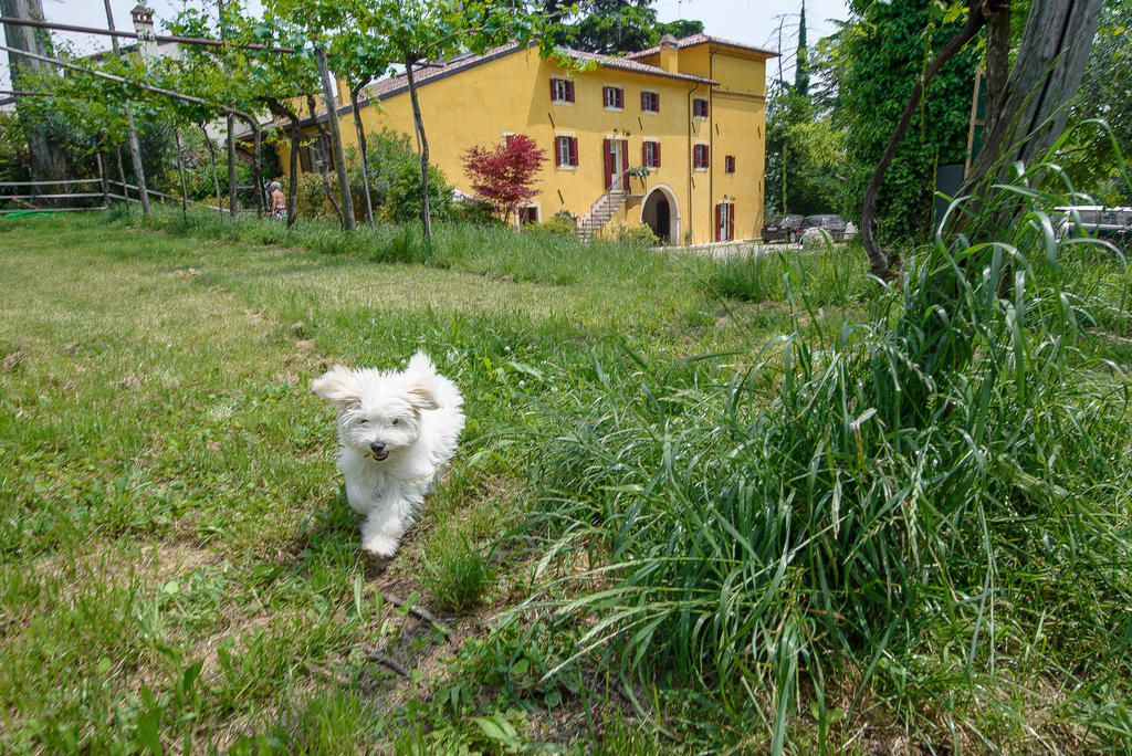 B&B Corte Jago Negrar Exterior photo